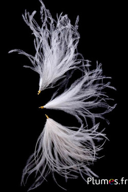 Hanger struisvogel - 9-12 cm - crème-grijs natuurlijk